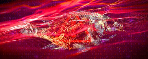 1. Backup tapes are still needed to protect your data and organization from phishing attacks