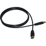 Cable USB High Speed 2 Gold X 10' A