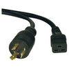 Tripp Lite Power Cord PDU UPS 20A 12AWG IEC-320-C19