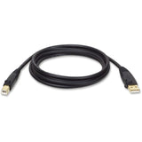 Tripp Lite USB 2.0 Hi-Speed A/B Cable M/M 10FT