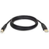 Tripp Lite  USB 2.0 Hi-Speed A/B Cable  M/M  10FT