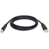 Tripp Lite  USB 2.0 Hi-Speed A/B Cable  M/M  10FT